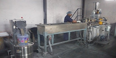 Twin Screw Extruder - STEER