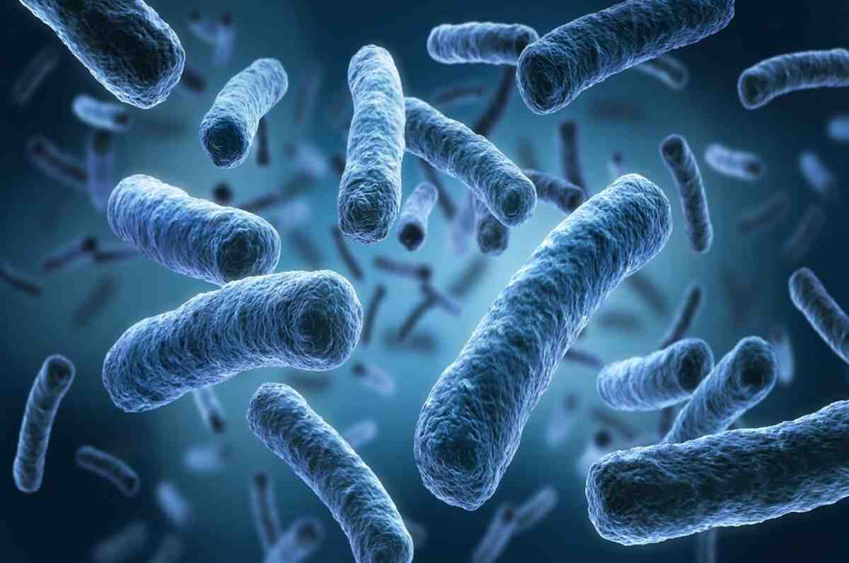 AntimicrobialMasterbatches