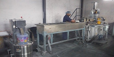 Twin Screw Extruder